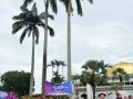 Tn dsc 7384
